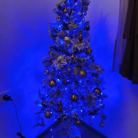 Nyaraló алтея *
